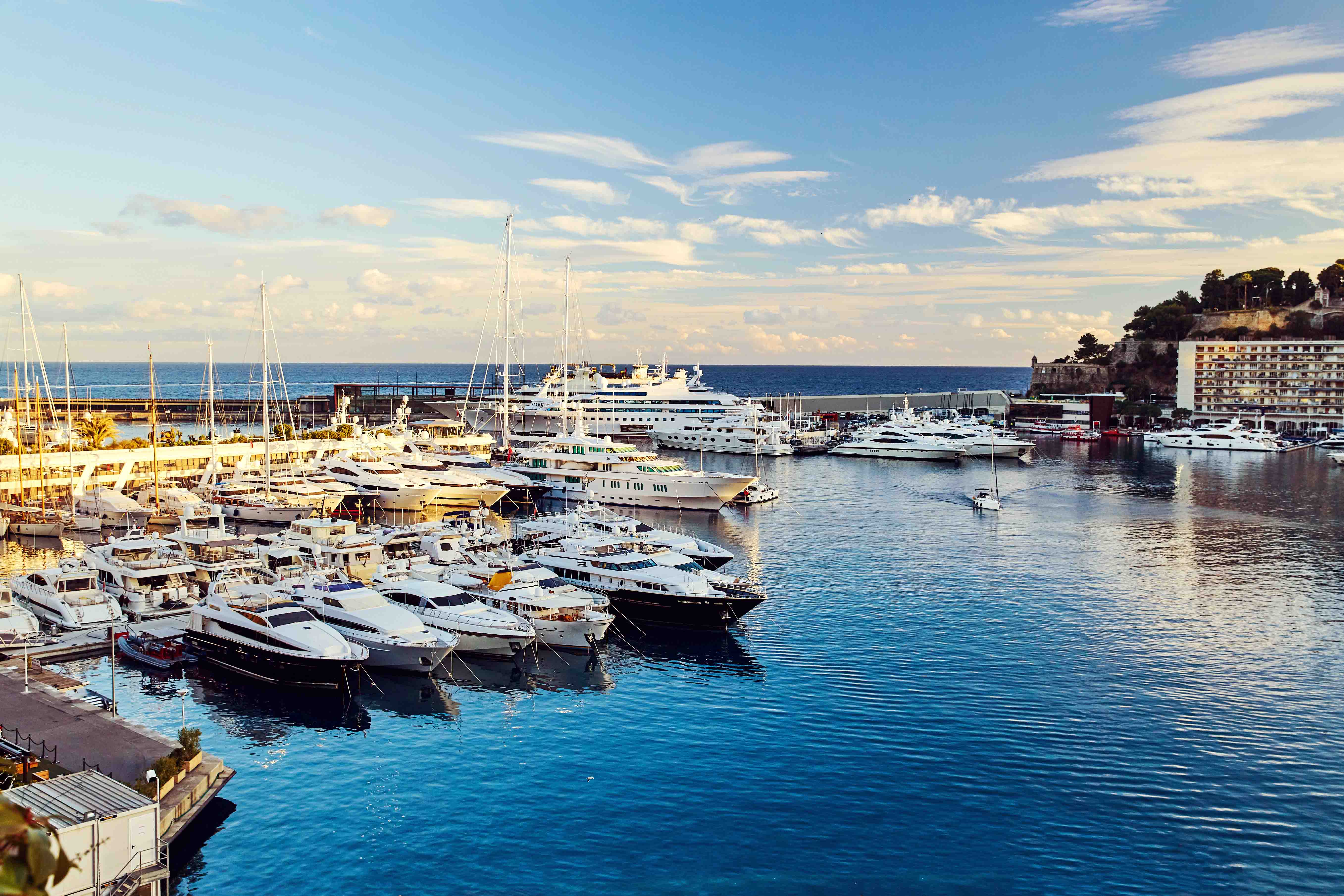 Monaco #500MB